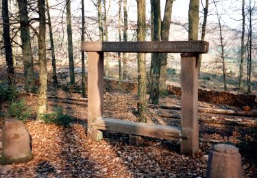 Tour Zu Fuß Weißenburg - Anneau jaune - Photo