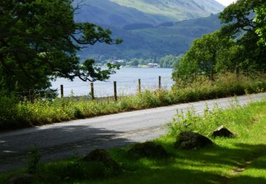 Tocht Te voet Eden - Aira Force and Gowbarrow Trail - Photo