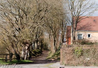 Trail Walking La Chapelle-Montligeon - La Chapelle-Montligeon - Longny-au-Perche 13 km - Photo