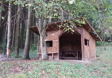 Trail Walking Bourg-sous-Châtelet - st Germain 8km - Photo
