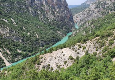 Excursión Senderismo La Palud-sur-Verdon - CHEMIN DESPECHEURS VERDON - Photo