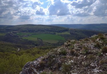 Tour Wandern Urcy - Plain de Suzanne-Roche d'Anse-Urcy - Photo