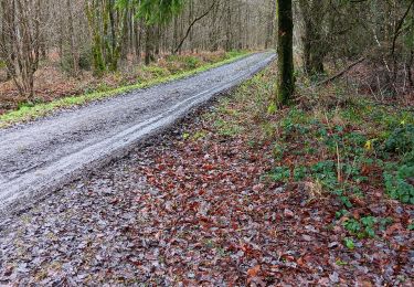 Randonnée Marche Aywaille - Balade De Paradis  - Photo