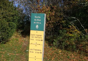 Tour Wandern Vassieux-en-Vercors - la roche du Mas et les scialets  - Photo