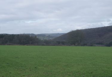 Tour Wandern Manhay - deux rys 25/02/2020 - Photo