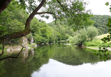 Trail Walking Bouillon - Corbion - Bouillon 1 - Photo