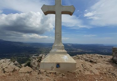 Trail Walking Roquevaire - Garlaban - Photo