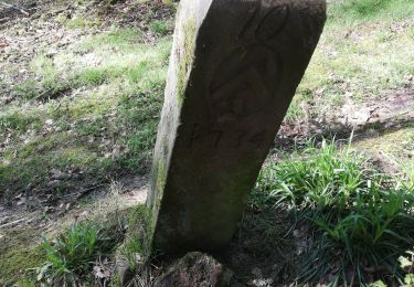 Trail Walking Sommerau - Birkenwald Heidenschloss - Photo