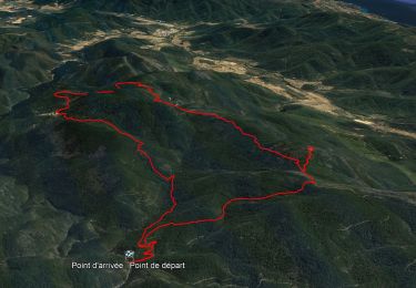 Tour Wandern Collobrières - 10881733-Collobrières - La Verne - radar - Photo