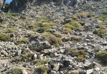 Tocht Stappen Calenzana - monte grosso, au départ de la Flatta  - Photo