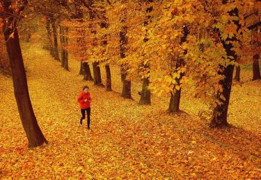 Excursión A pie okres Žiar nad Hronom - NCH Šibeničný vrch - Photo