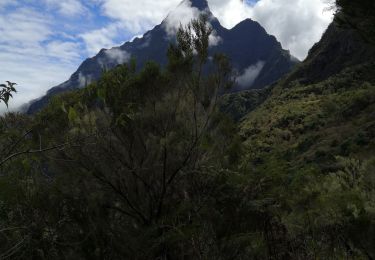 Trail Walking La Possession - Marla Cilaos - Photo