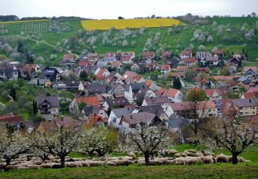 Excursión A pie Gomadingen - Weilheim Rundweg 66 - Photo