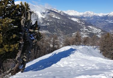 Tocht Sneeuwschoenen Risoul - risou - Photo