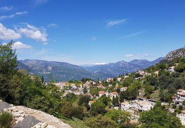 Tocht Stappen Aspremont - Tour Mont Chauve - Photo