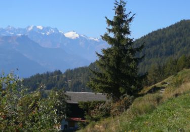 Excursión Marcha nórdica Arbaz - Anzère  - Photo