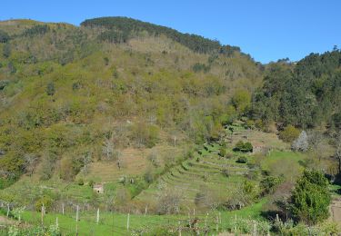 Excursión A pie Merufe - Trilho do Caminho dos Mortos - Photo