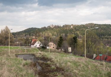 Tour Zu Fuß Szczytna - Góry Stołowe - Szczytnik - Photo