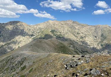 Randonnée Marche Guagno - I Pinzi Corbini - Photo