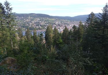 Percorso Marcia Gérardmer - Gérardmer  - Photo