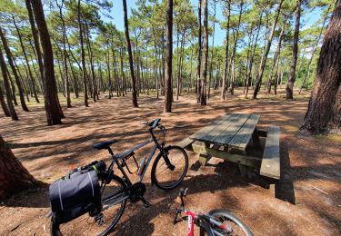 Trail Hybrid bike Biscarrosse - Biscarrosse - Les dunes de Biscarrosse Plage - Photo