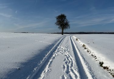 Tocht Noords wandelen Habscht - Eischen - Septfontaines - Photo