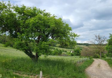Excursión Senderismo Azy-sur-Marne - Bonneil  - Photo