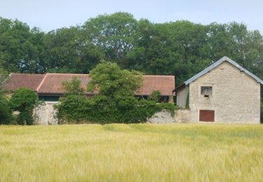 Excursión Senderismo Vignory - champ de la grange  - Photo