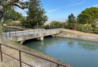 Tocht Stappen Taillades - randogps84-494 - Photo