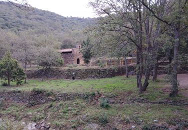 Tour Wandern Corbère-les-Cabanes - cerbère chapelle sa t père del bosc - Photo