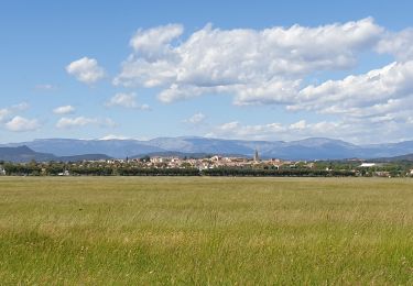 Tour Wandern Fréjus - Fréjus base de loisirs  - Photo