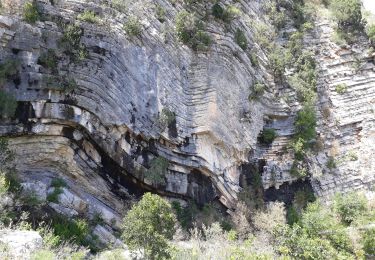 Tour Wandern Saint-Maurice-Navacelles - Cirque de Navacelles Causses et Gorges de la Vis - Photo