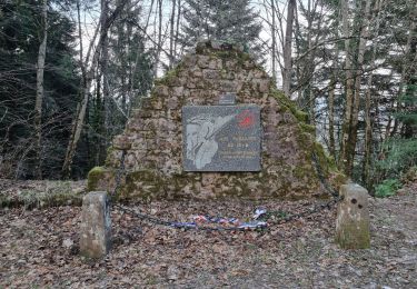 Randonnée Marche Nayemont-les-Fosses - spitzemberg1 - Photo