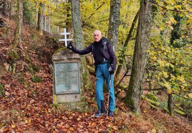 Trail Walking Vieux-Thann - Rando..avec Jean Marc..12,/11/ 2025 - Photo