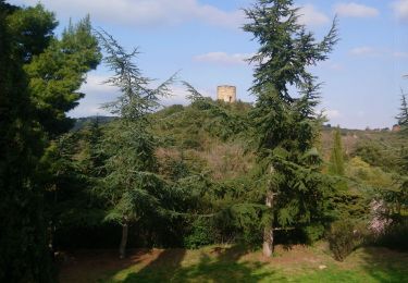 Randonnée Marche Castelnou - Autour de Castelnou via St Marti de la Roca  - Photo