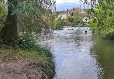 Trail Walking Montigny-sur-Loing - T-Montigny - Photo