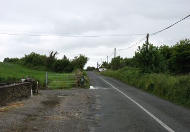 Percorso A piedi Claremorris-Swinford Municipal District - Sliabh Cairn Peak - Photo