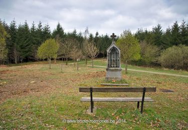 Trail Walking Herbeumont - Haut Chenois - Viaduc Herbeumont et points de vue  - Photo