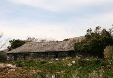 Excursión A pie West Cork - Glanlough Loop - Photo