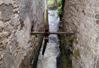 Trail Walking Airvault - DEUX SEVRES / AIRVAULT: LES ANCIENS MOULINS - Photo