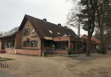 Trail Walking Maaseik - Wandelen in de Duinengordel - Photo