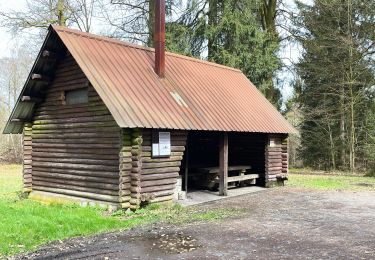 Tocht Stappen Chiny - Gaume- Forêt de Chiny - - Photo