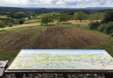 Trail Walking Queyssac-les-Vignes - Queyssac  - Photo