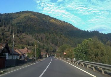 Percorso A piedi  - Stânceni - Valea Gudea Mică - Vârful Fâncel - Photo