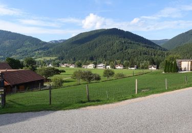 Excursión A pie Gemeinde Puchberg am Schneeberg - Puchberg - Fischersteig - Bbhf. Hochschneeberg - Photo