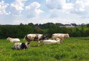 Excursión Senderismo Nivelles - Balade à Monstreux - Nivelles - Photo