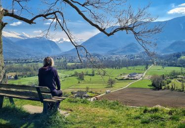 Trail Walking Buzy - Trace-Gps-Boucle-Croix-de-Buzy - Photo