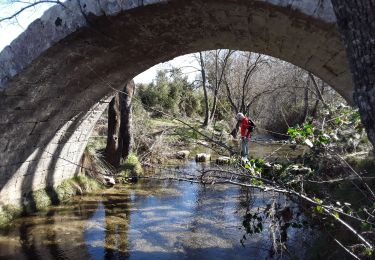 Tour Wandern Teyran - Teyran source acqueduc de Castries  - Photo