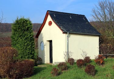 Percorso A piedi Eltville am Rhein - Rundwanderweg Rotmilan - Photo