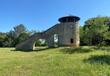 Trail Walking Aigues-Vives - Aigues Vives - Photo